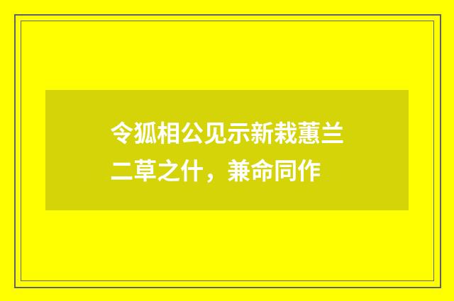 令狐相公见示新栽蕙兰二草之什，兼命同作