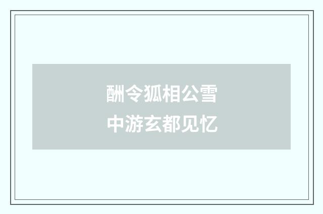 酬令狐相公雪中游玄都见忆