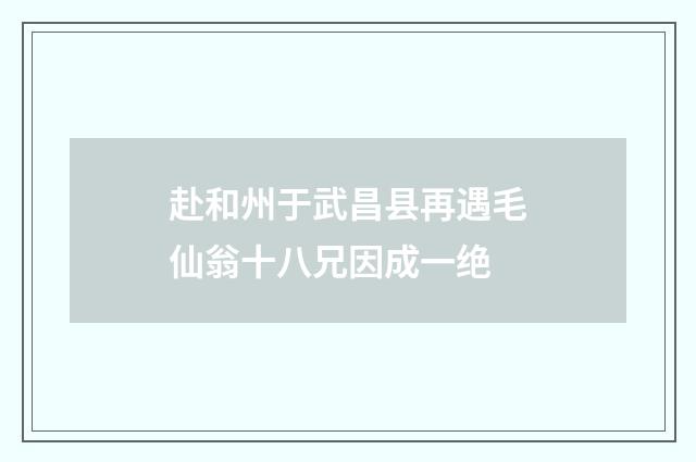 赴和州于武昌县再遇毛仙翁十八兄因成一绝
