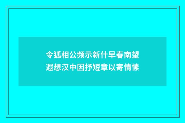 令狐相公频示新什早春南望遐想汉中因抒短章以寄情愫