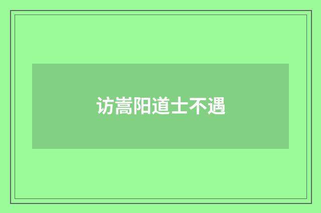 访嵩阳道士不遇