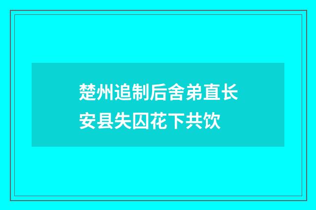 楚州追制后舍弟直长安县失囚花下共饮