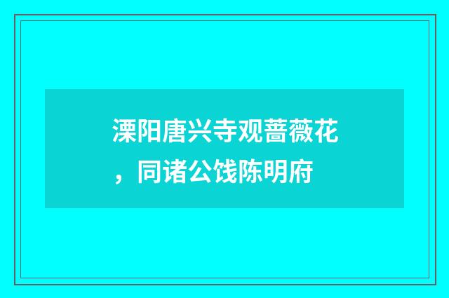 溧阳唐兴寺观蔷薇花，同诸公饯陈明府