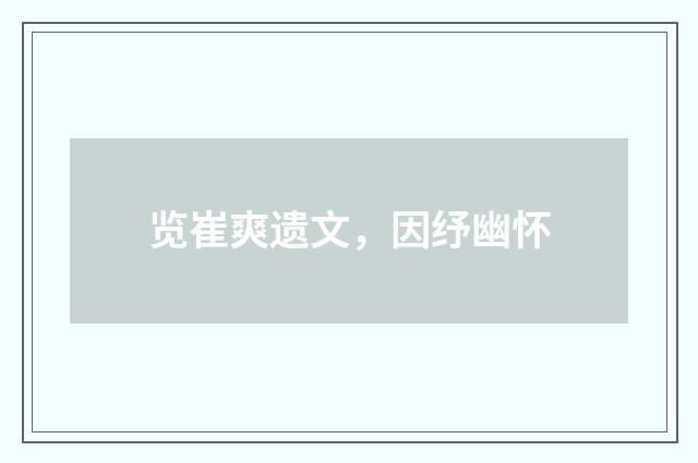 览崔爽遗文，因纾幽怀
