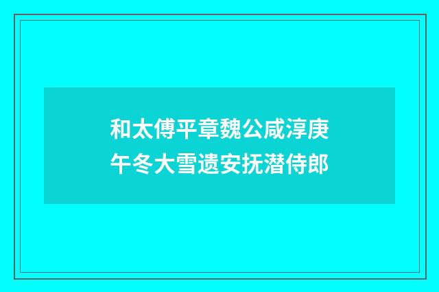 和太傅平章魏公咸淳庚午冬大雪遗安抚潜侍郎