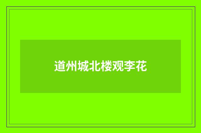 道州城北楼观李花