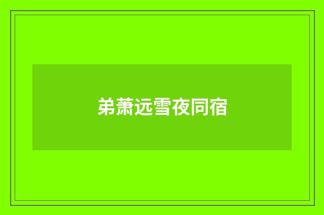 弟萧远雪夜同宿
