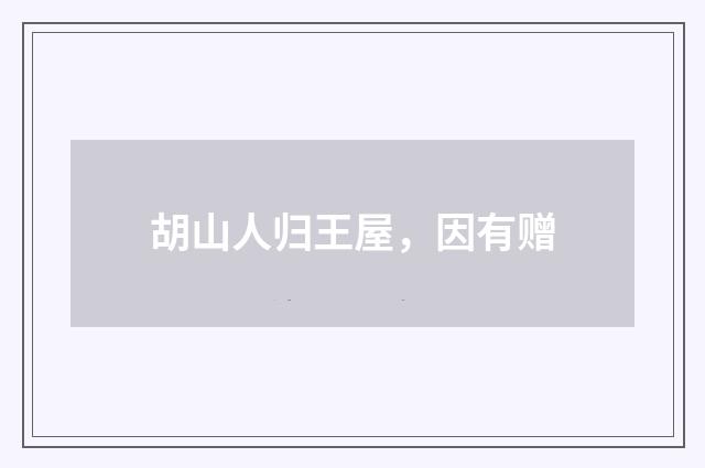 胡山人归王屋，因有赠