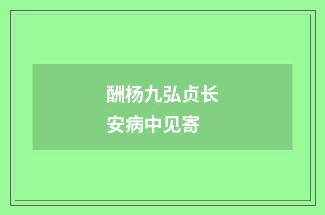 酬杨九弘贞长安病中见寄