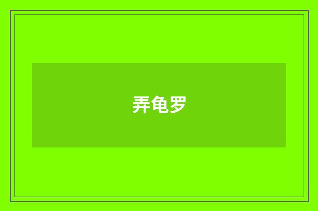 弄龟罗
