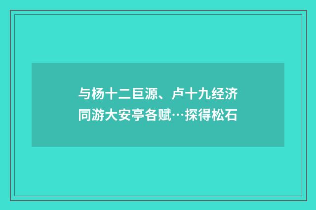 与杨十二巨源、卢十九经济同游大安亭各赋…探得松石
