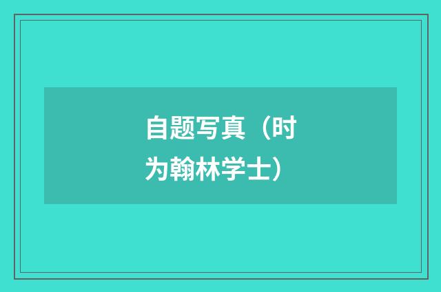 自题写真（时为翰林学士）