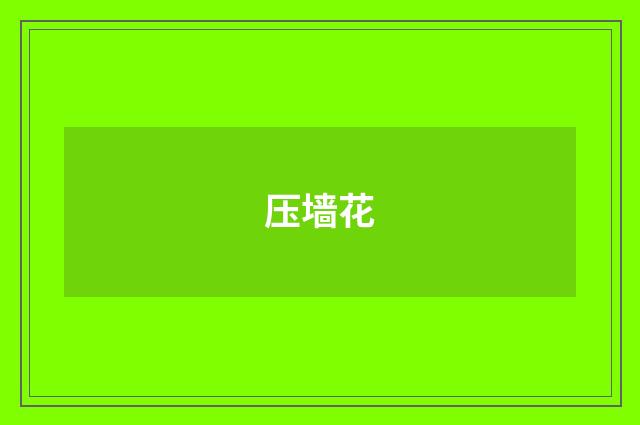 压墙花