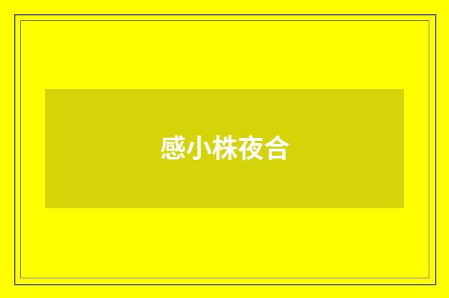 感小株夜合