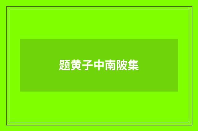 题黄子中南陂集