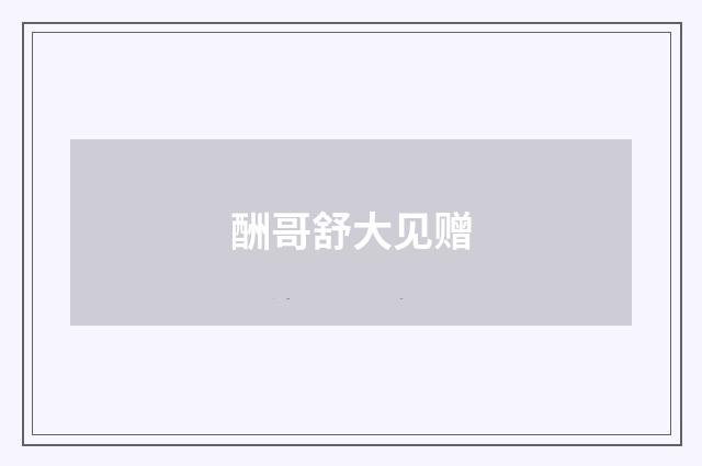 酬哥舒大见赠