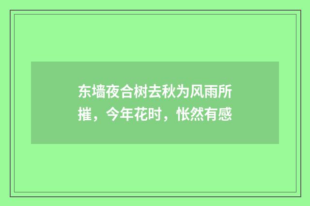 东墙夜合树去秋为风雨所摧，今年花时，怅然有感