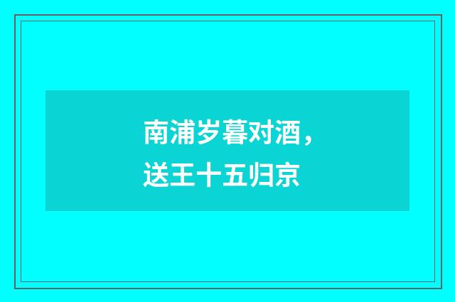 南浦岁暮对酒，送王十五归京