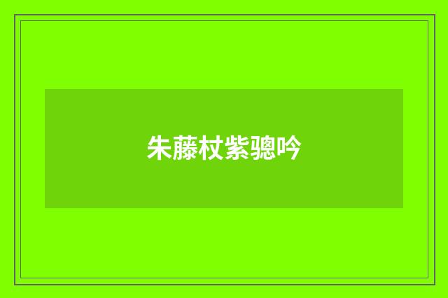朱藤杖紫骢吟