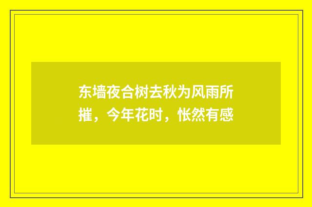 东墙夜合树去秋为风雨所摧，今年花时，怅然有感