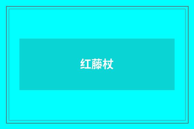 红藤杖