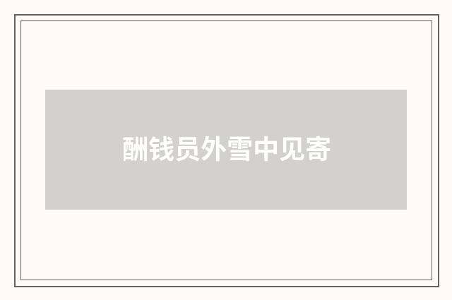 酬钱员外雪中见寄