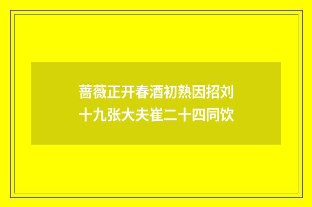 蔷薇正开春酒初熟因招刘十九张大夫崔二十四同饮