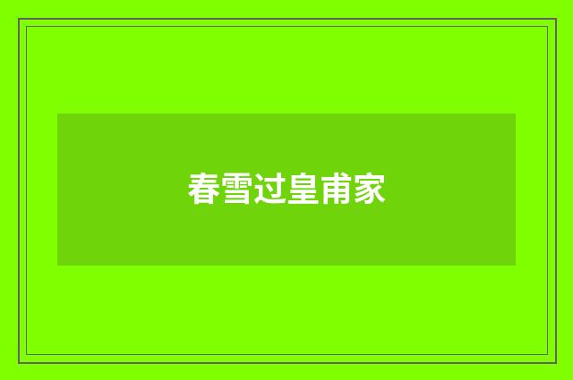 春雪过皇甫家