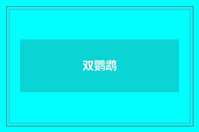 双鹦鹉