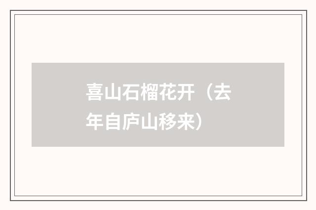 喜山石榴花开（去年自庐山移来）