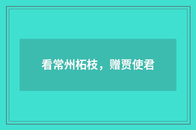 看常州柘枝，赠贾使君