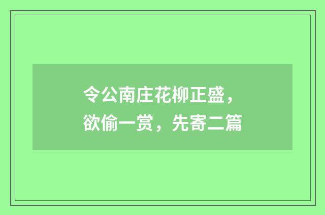 令公南庄花柳正盛，欲偷一赏，先寄二篇