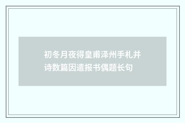初冬月夜得皇甫泽州手札并诗数篇因遣报书偶题长句