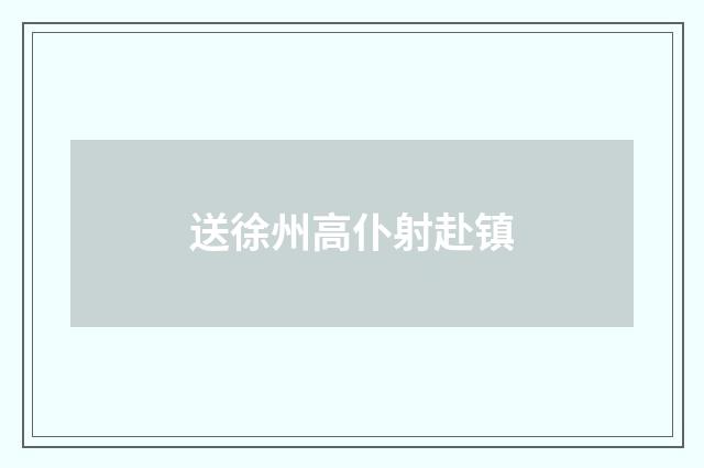 送徐州高仆射赴镇