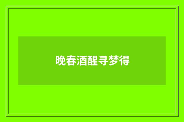 晚春酒醒寻梦得