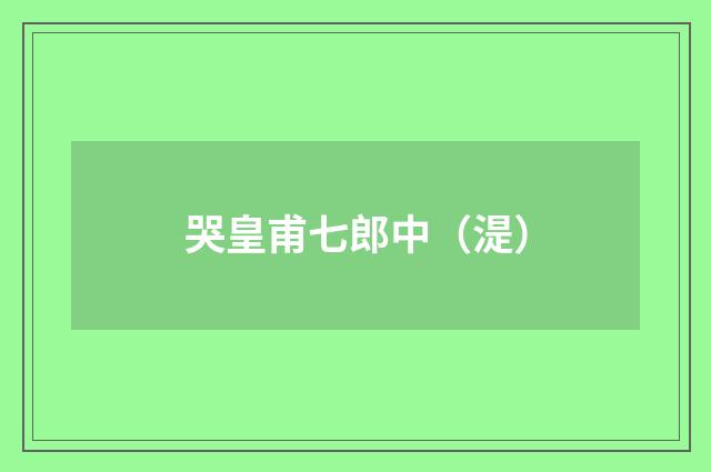 哭皇甫七郎中（湜）