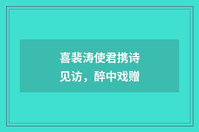 喜裴涛使君携诗见访，醉中戏赠