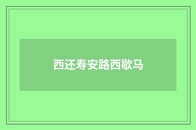 西还寿安路西歇马