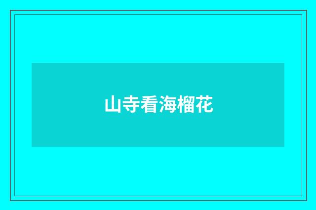 山寺看海榴花