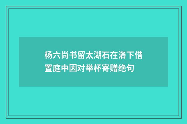 杨六尚书留太湖石在洛下借置庭中因对举杯寄赠绝句