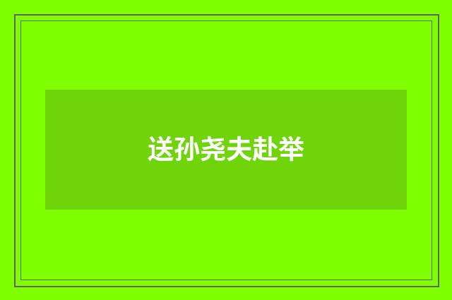 送孙尧夫赴举