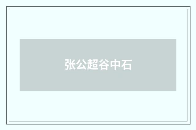 张公超谷中石