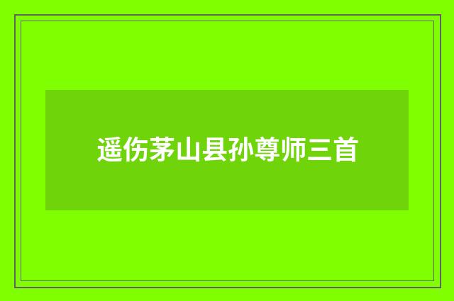 遥伤茅山县孙尊师三首