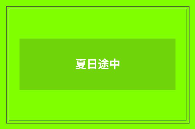 夏日途中