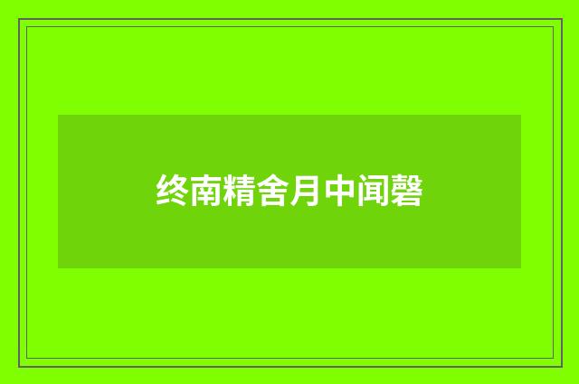 终南精舍月中闻磬