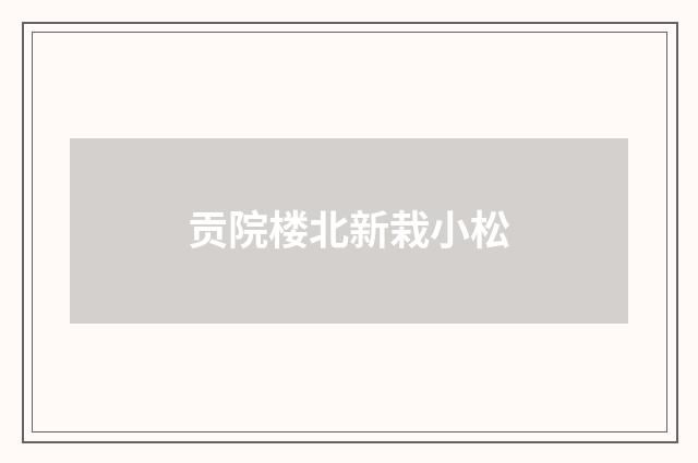 贡院楼北新栽小松