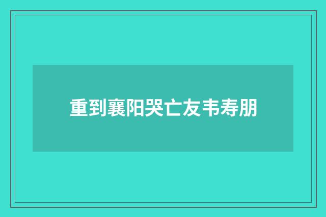 重到襄阳哭亡友韦寿朋