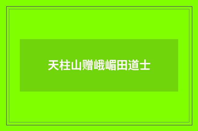 天柱山赠峨嵋田道士