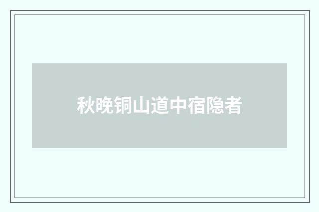 秋晚铜山道中宿隐者