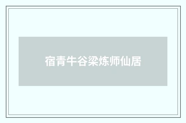 宿青牛谷梁炼师仙居